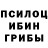 Псилоцибиновые грибы MAGIC MUSHROOMS Candy Houp