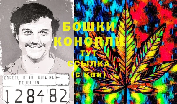 прущие крисы Новозыбков