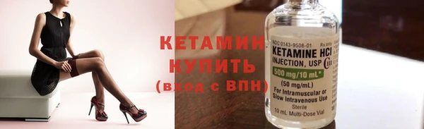 прущие крисы Новозыбков