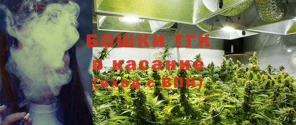 каннабис Новодвинск