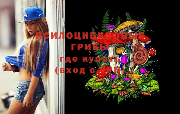 ешки Новокубанск
