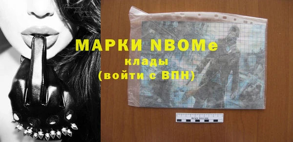 прущие крисы Новозыбков