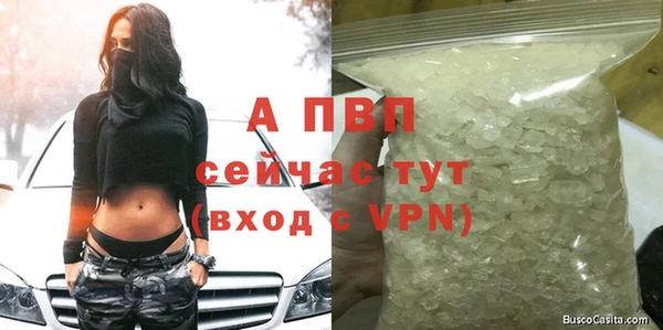ешки Новокубанск