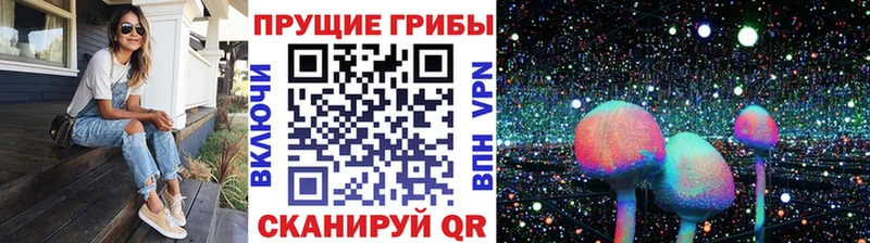 где продают наркотики  Отрадный  Псилоцибиновые грибы MAGIC MUSHROOMS 