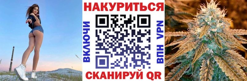 darknet телеграм Отрадный Каннабис сатива